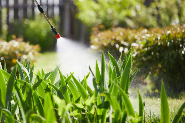 Tamper-Resistant Bait Stations for Rodents in Riley