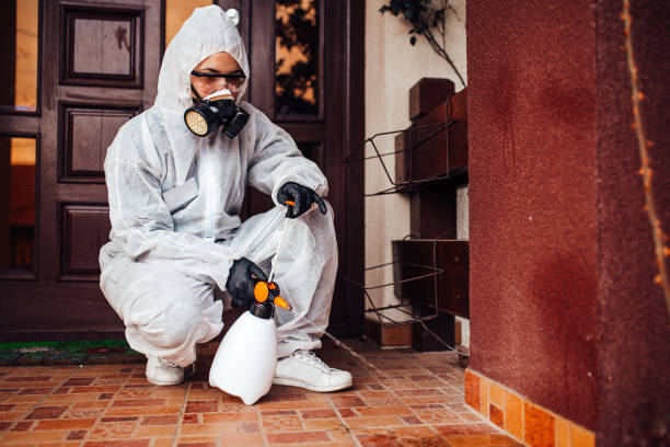 Attic and Crawl Space Rodent Treatment in Riley