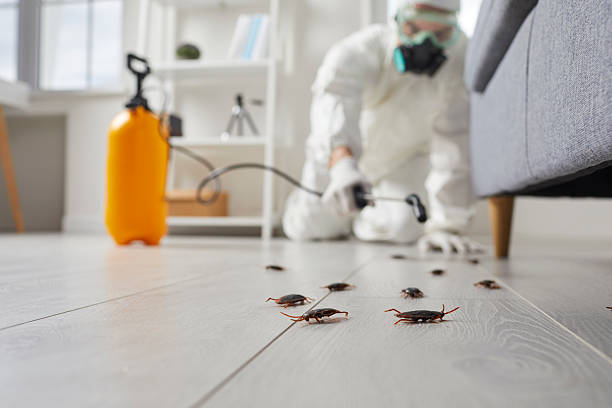 Commercial Rodent Management in Riley